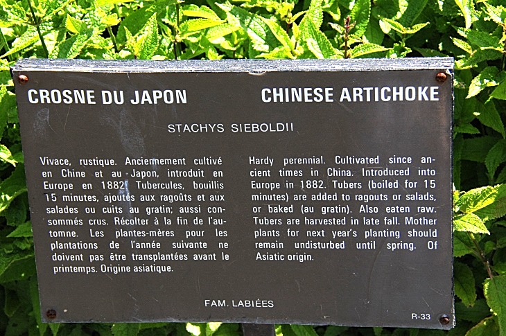 2016-7-25canadaherb 3685_01.JPG
