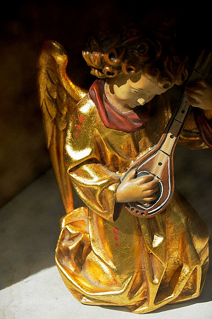 2016-7-25canadaherb 2732_01.JPG