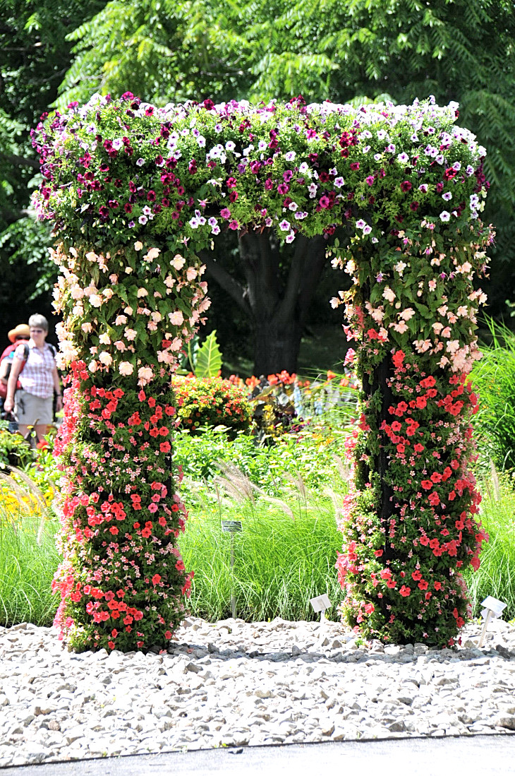 2016-7-25canadaherb 4123_01.JPG