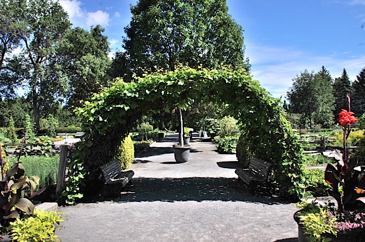 2016-7-25canadaherb 3394_01.JPG