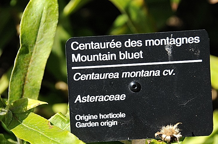 2016-7-25canadaherb 3210_01.JPG