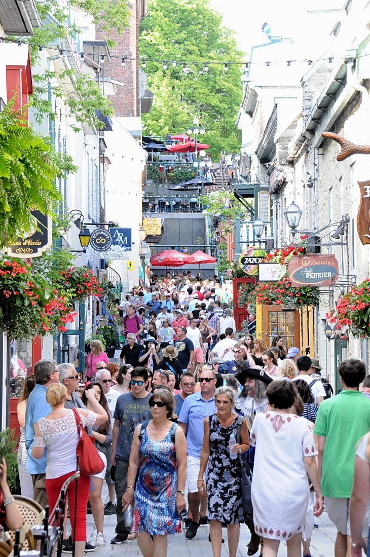 2016-7-25canadaherb 2827_01.JPG