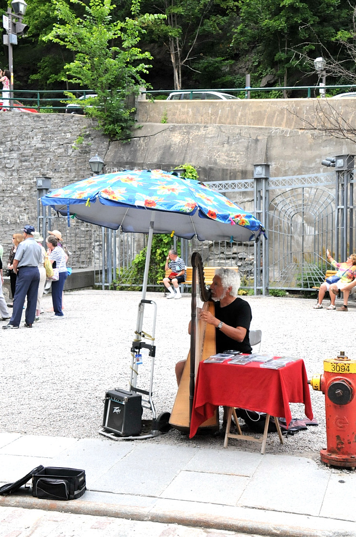 2016-7-25canadaherb 2558_01.JPG