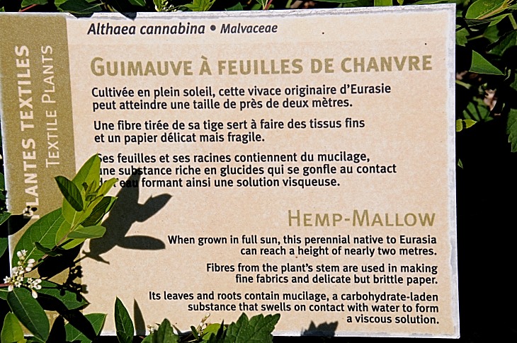 2016-7-25canadaherb 3628_01.JPG