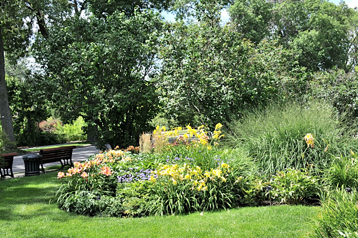 2016-7-25canadaherb 4130_01.JPG