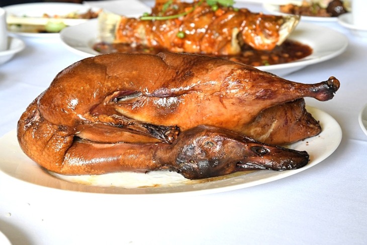 DSC_0758_01_01.JPG