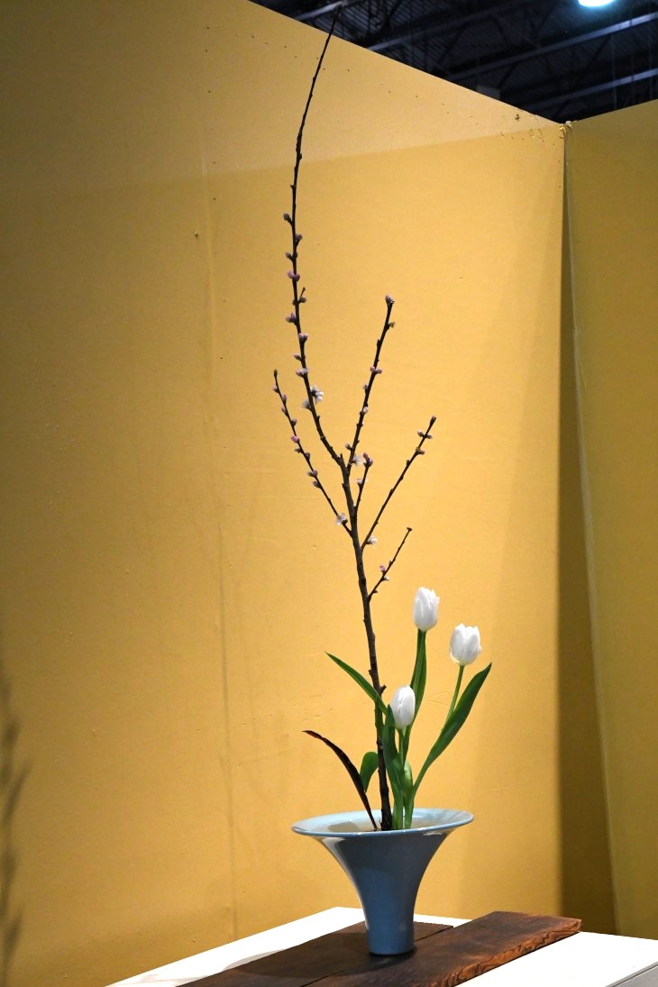 DSC_1804_01.JPG