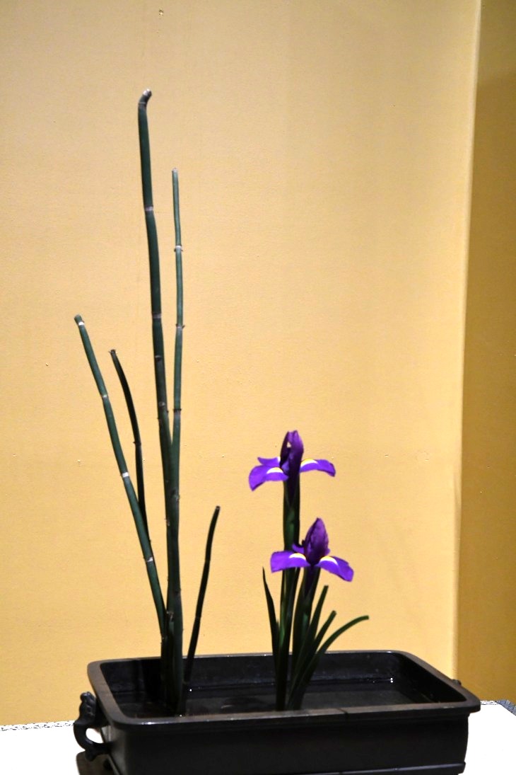 DSC_1808_01.JPG