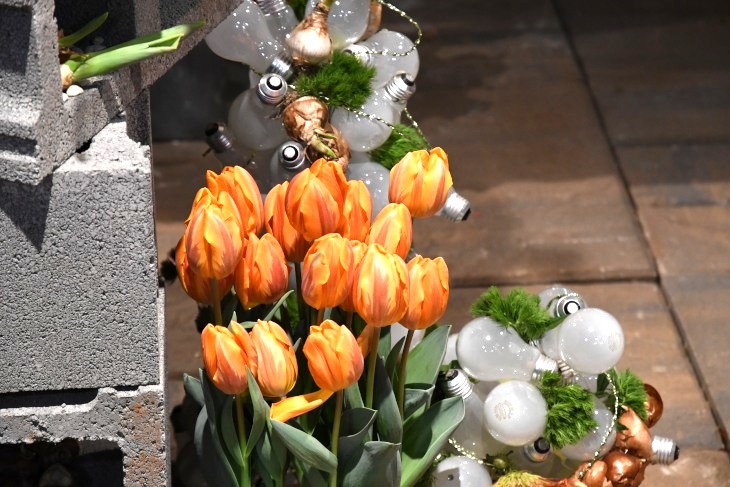 DSC_2050_01.JPG