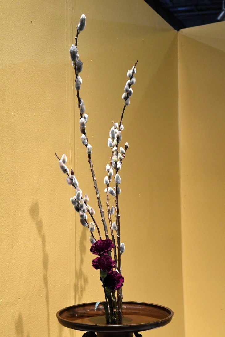 DSC_1806_01.JPG