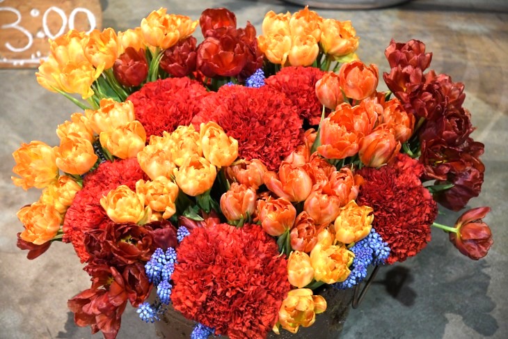 DSC_2094_01.JPG