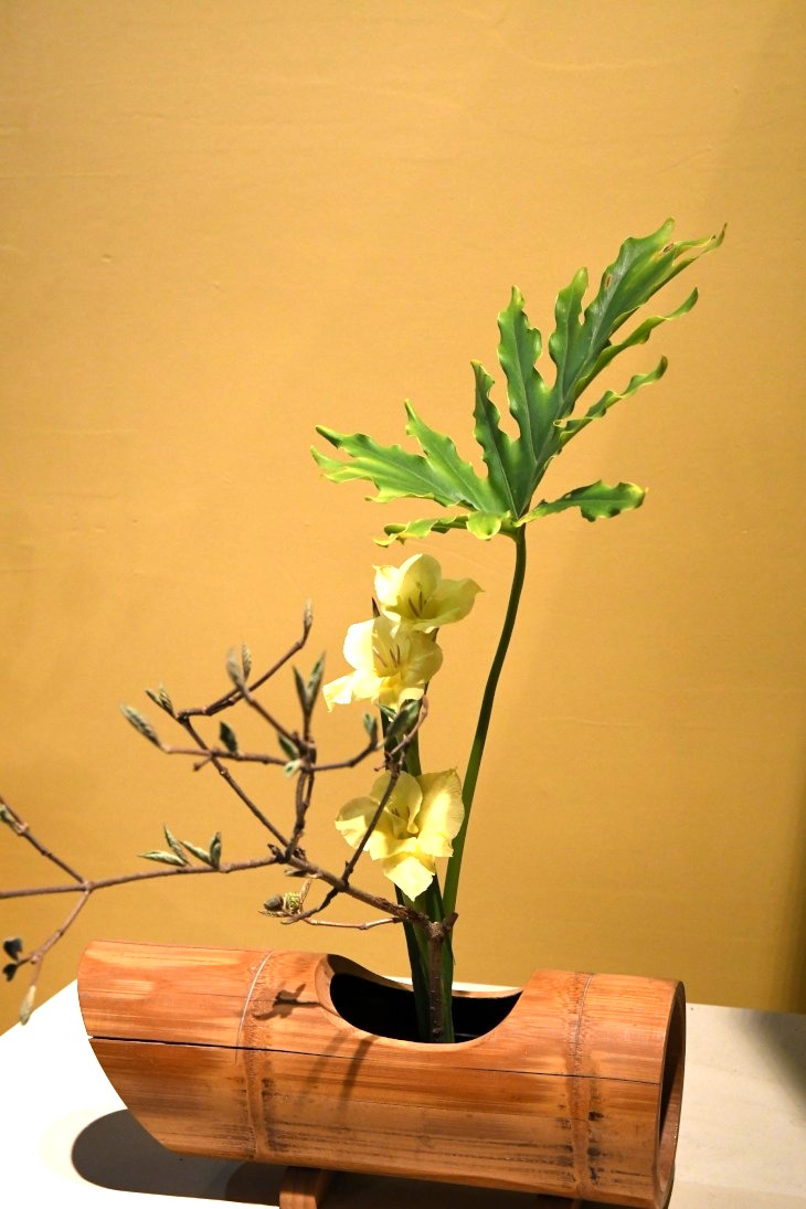 DSC_1805_01.JPG