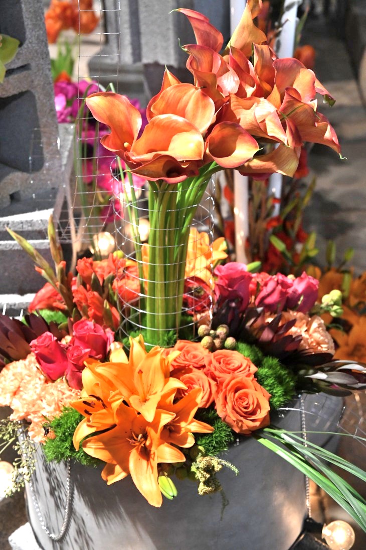 DSC_1784_01.JPG