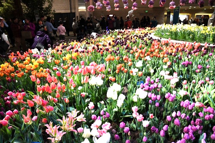 DSC_2006_01.JPG