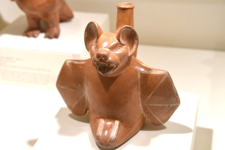 DSC_3558_01.JPG