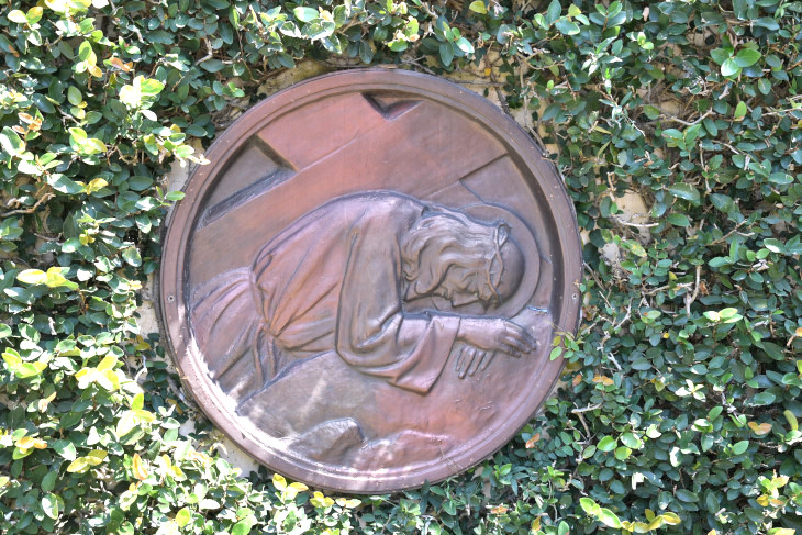 DSC_4044_01.JPG