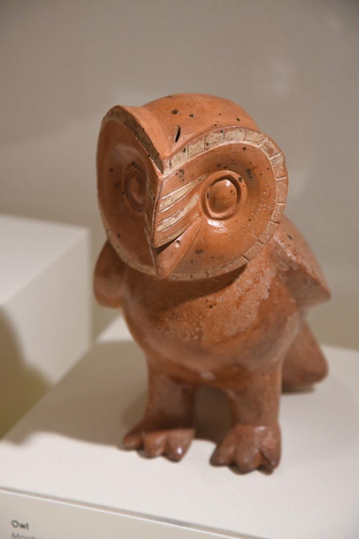 DSC_3559_01.JPG