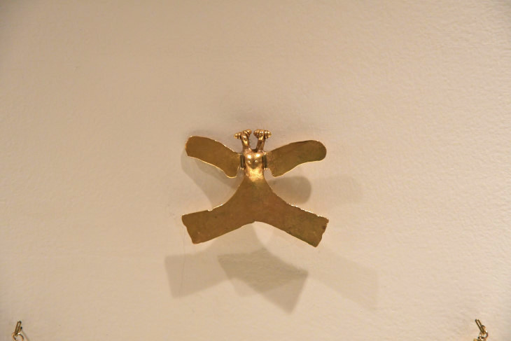 DSC_3536_01.JPG