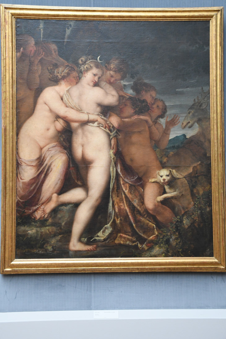 DSC_6501_01.JPG