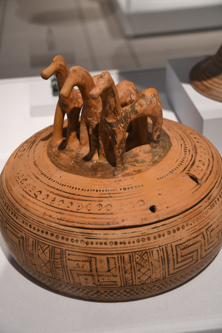 DSC_5895_01.JPG