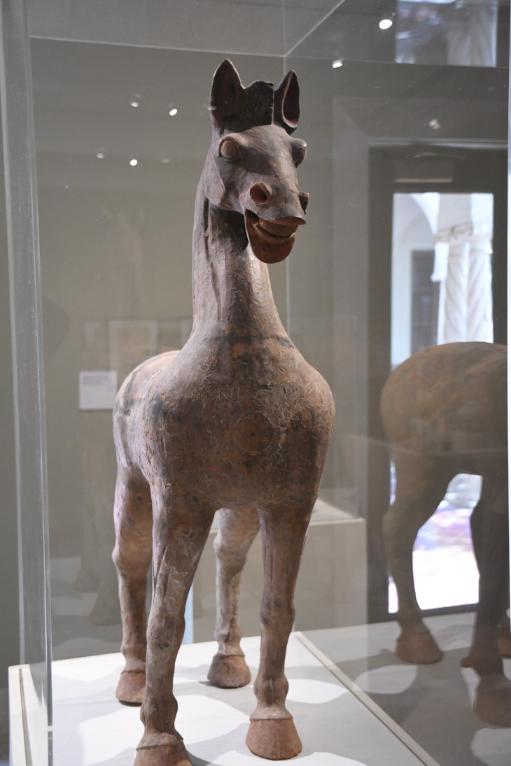 DSC_5020_01.JPG